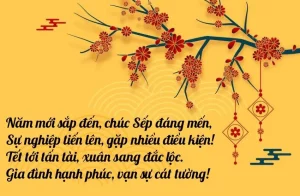 lời chúc Tết cho sếp