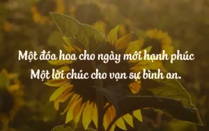 lời chúc bình an mỗi ngày