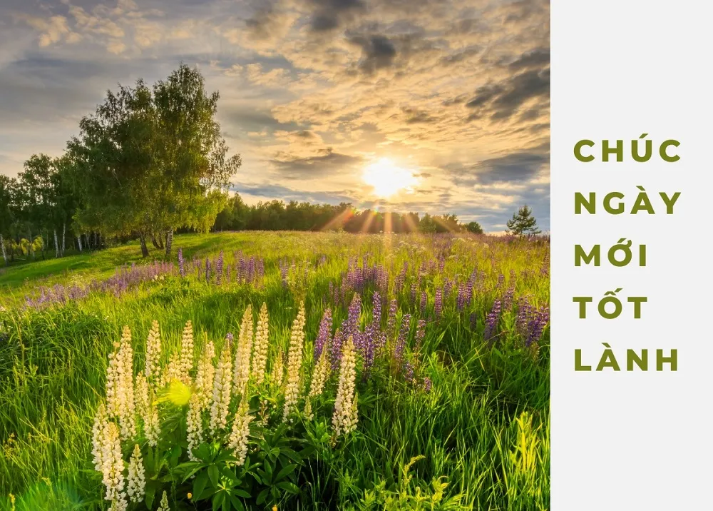 Nguồn động viên và năng lượng tích cực