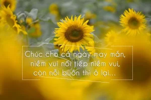 lời chúc buổi sáng hay