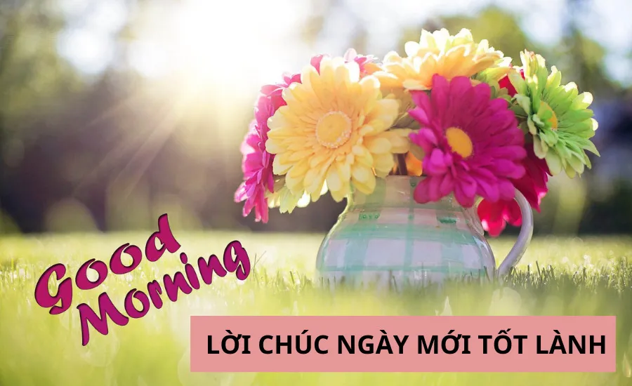 Bí Quyết Tạo Nên Những Lời Chúc Buổi Sáng Hay "Đốn Tim" Người Nhận