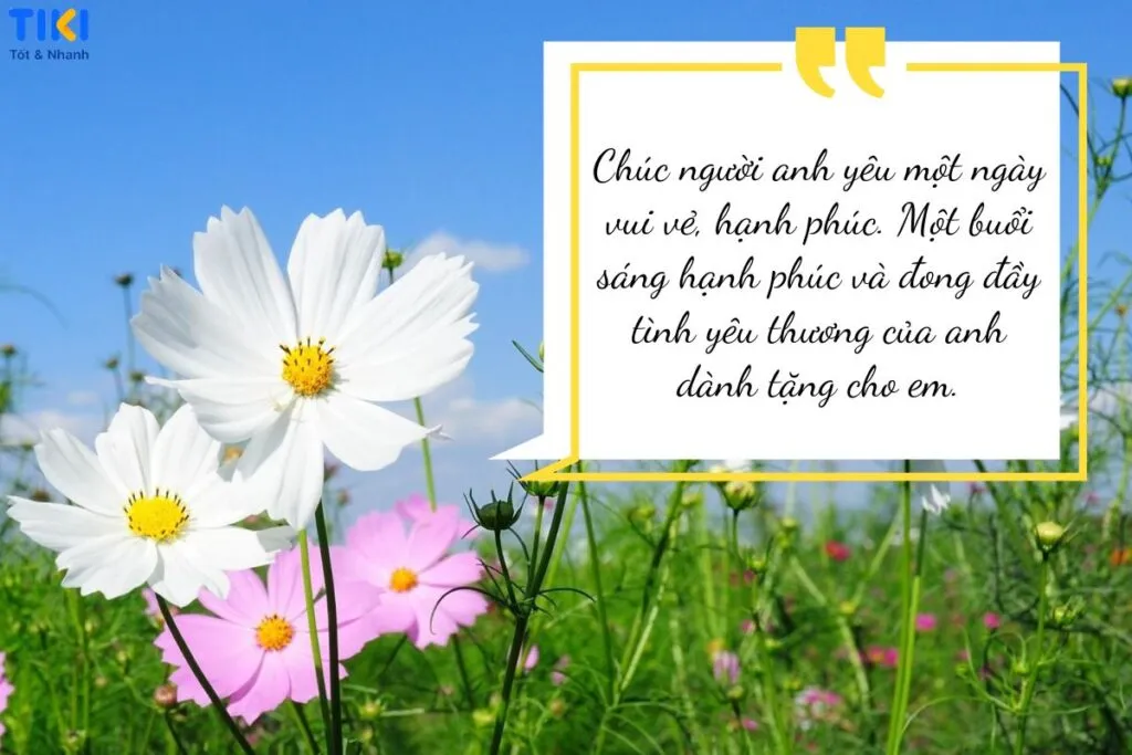 Cá Nhân Hóa Lời Chúc