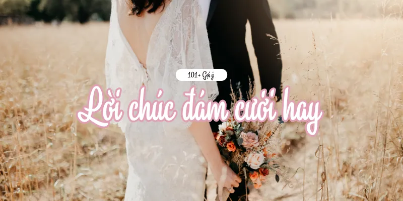 Tại Sao Nên Chọn Lời Chúc Hài Hước?