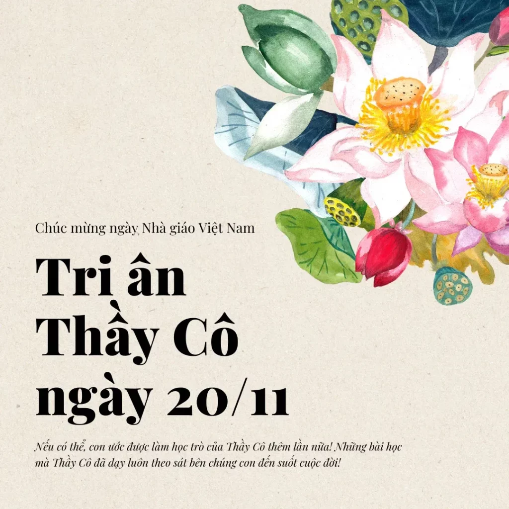 Các Loại Thiệp Chúc Mừng Ngày Thầy Cô Phổ Biến Và Cách Chọn